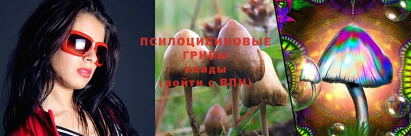ECSTASY Алзамай
