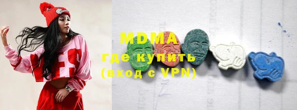 индика Алексин