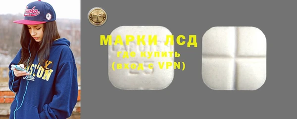 индика Алексин