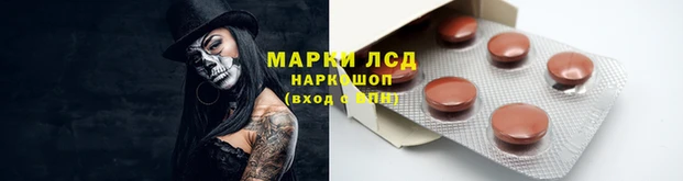 индика Алексин