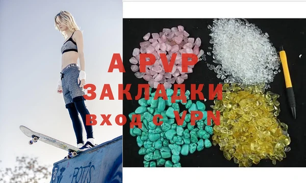 индика Алексин