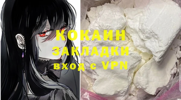 ECSTASY Алзамай