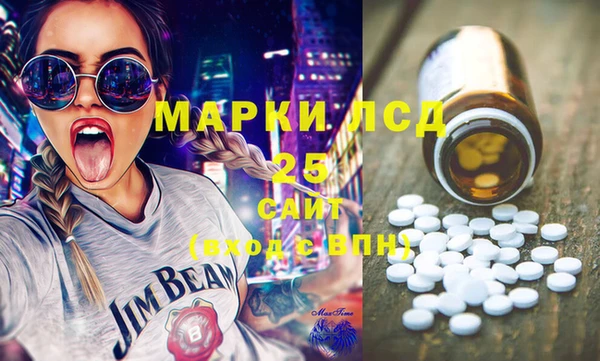 индика Алексин